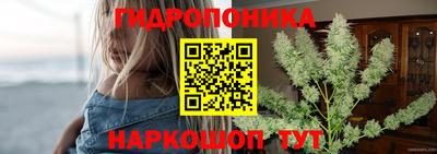 СК Можайск