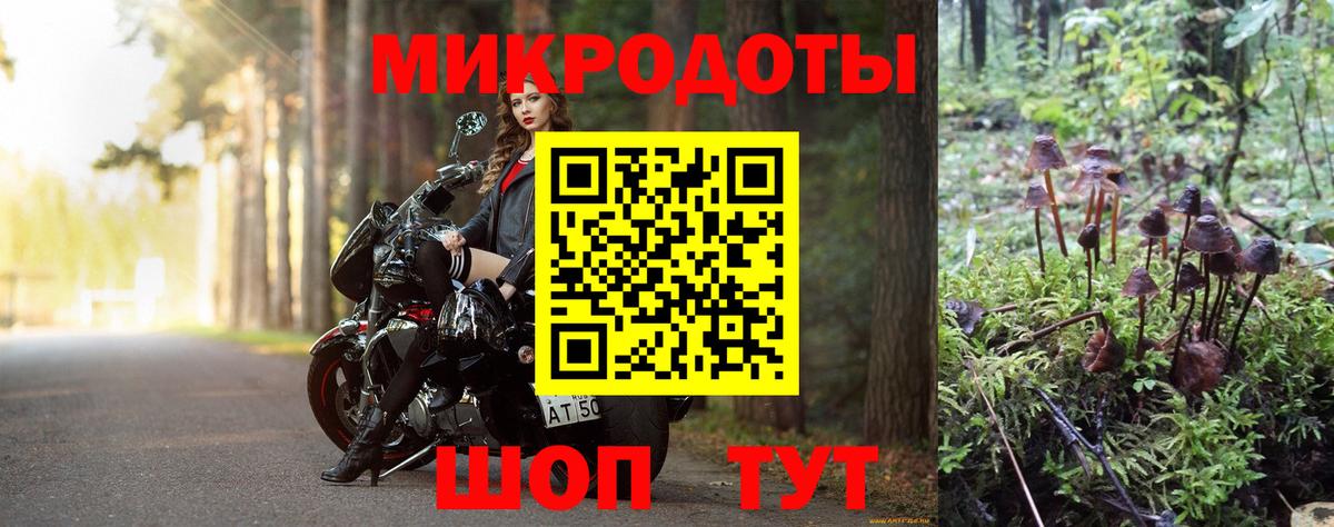 Галлюциногенные грибы мухоморы  Вход с VPN  Черногорск 