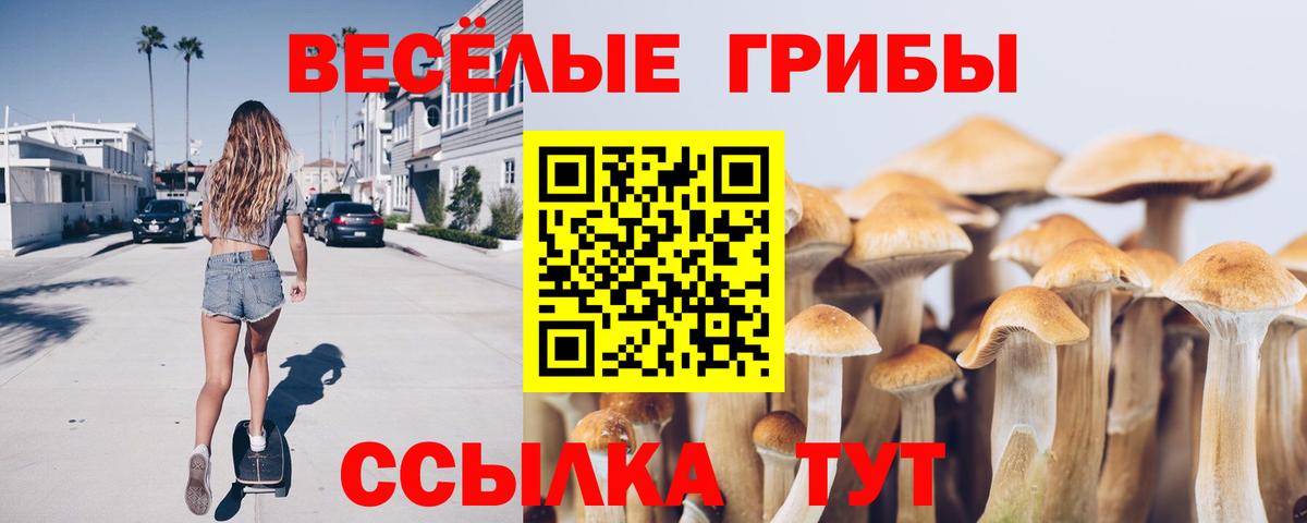МЕФ  Черногорск  Cocaine  Магазины продажи наркотиков  Экстази  Вход с VPN  ГАШИШ  МАРИХУАНА  Мефедрон  