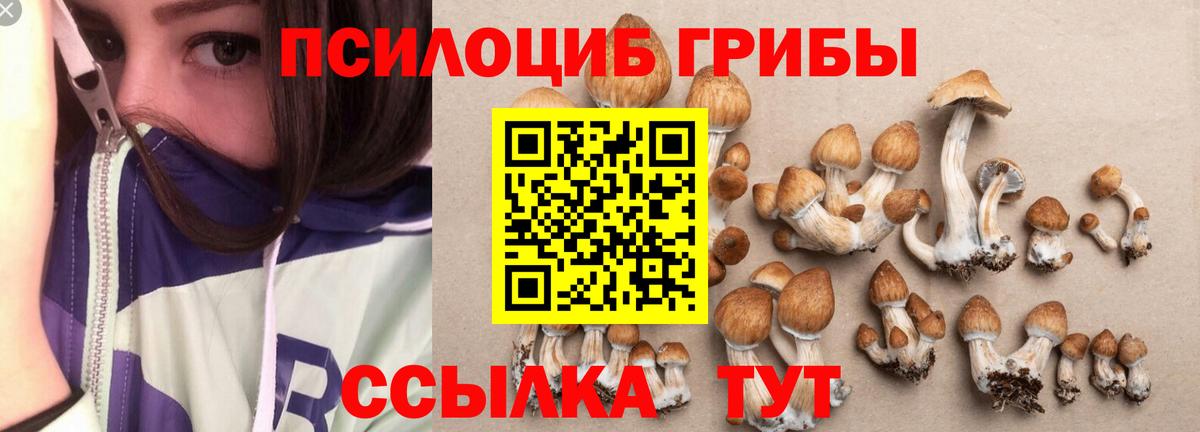 Псилоцибиновые грибы GOLDEN TEACHER Черногорск